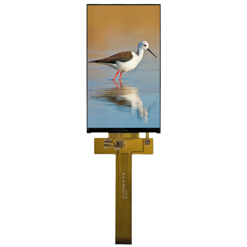 5.5 Inch HD TFT LCD Display